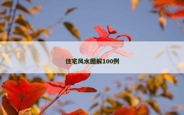 住宅风水图解100例