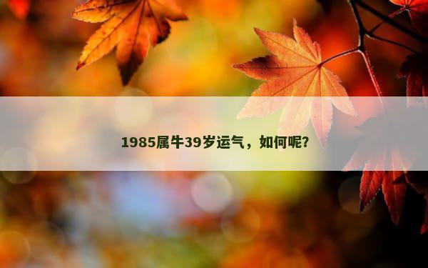 1985属牛39岁运气，如何呢？