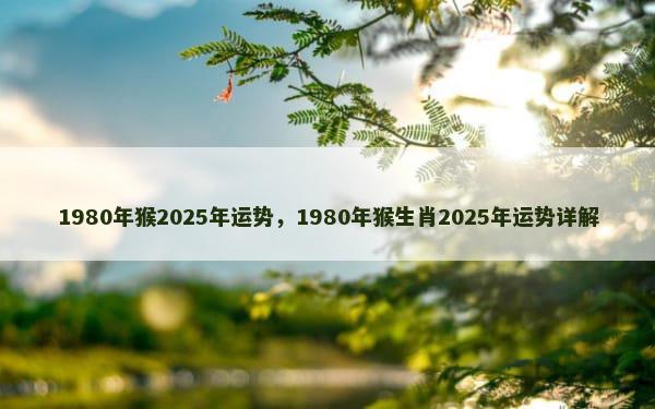 1980年猴2025年运势，1980年猴生肖2025年运势详解