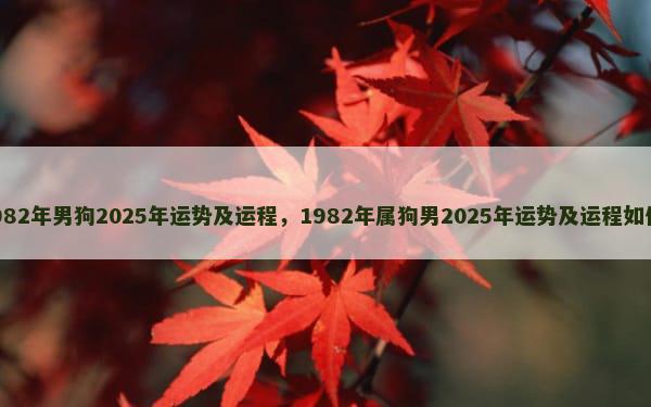 1982年男狗2025年运势及运程，1982年属狗男2025年运势及运程如何？