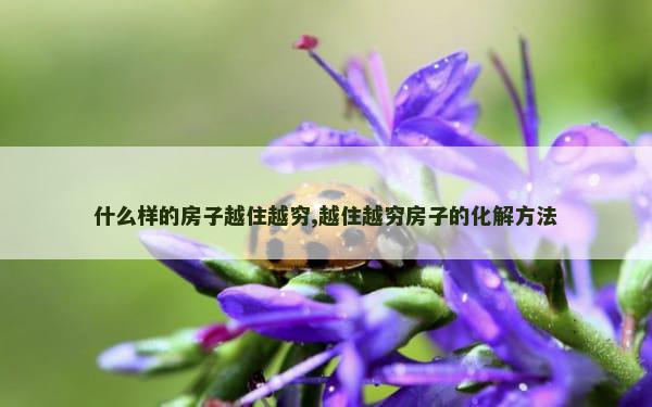 什么样的房子越住越穷,越住越穷房子的化解方法