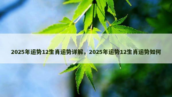 2025年运势12生肖运势详解，2025年运势12生肖运势如何