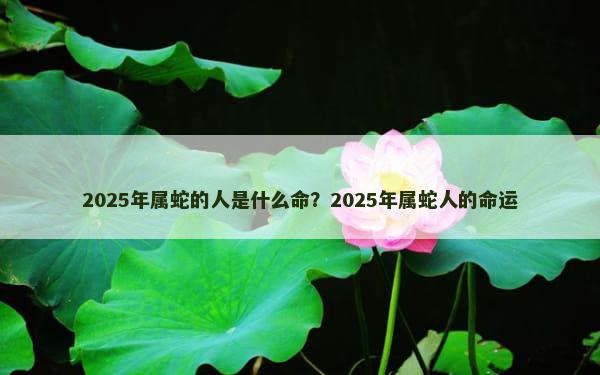 2025年属蛇的人是什么命？2025年属蛇人的命运