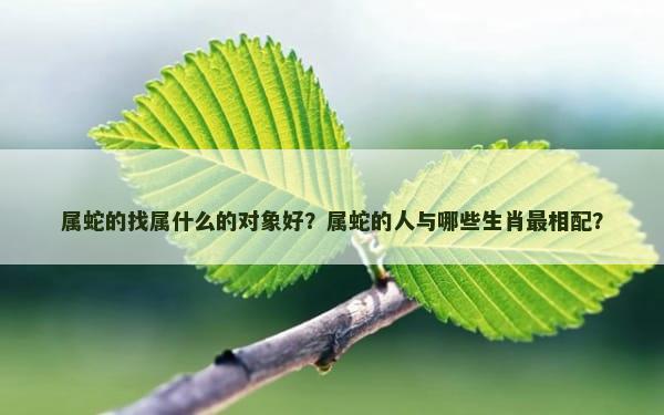 属蛇的找属什么的对象好？属蛇的人与哪些生肖最相配？