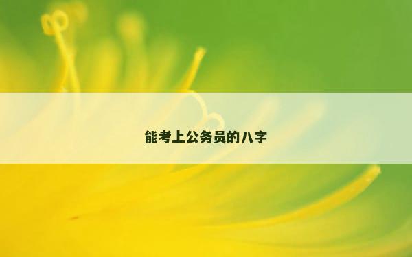 能考上公务员的八字