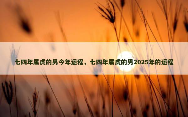 七四年属虎的男今年运程，七四年属虎的男2025年的运程