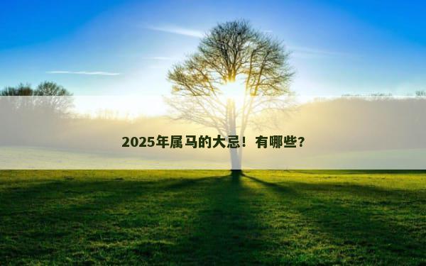 2025年属马的大忌！有哪些?