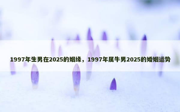 1997年生男在2025的姻缘，1997年属牛男2025的婚姻运势