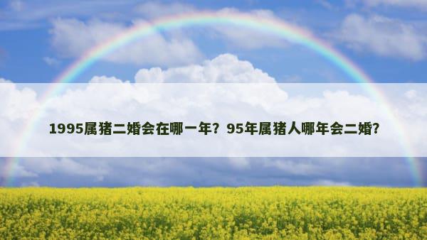 1995属猪二婚会在哪一年？95年属猪人哪年会二婚？