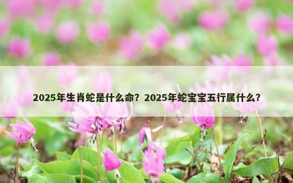 2025年生肖蛇是什么命？2025年蛇宝宝五行属什么？