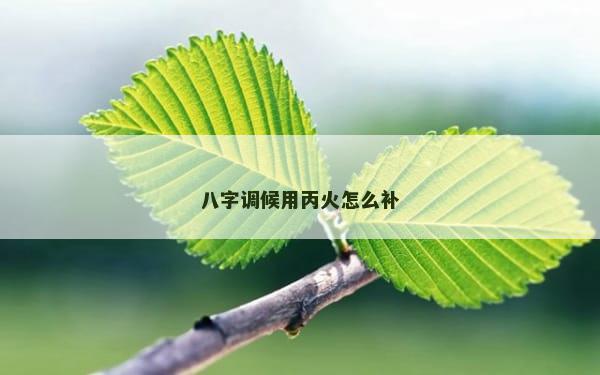 八字调候用丙火怎么补