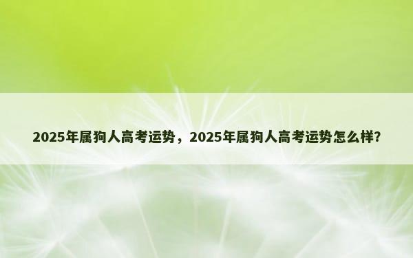 2025年属狗人高考运势，2025年属狗人高考运势怎么样？