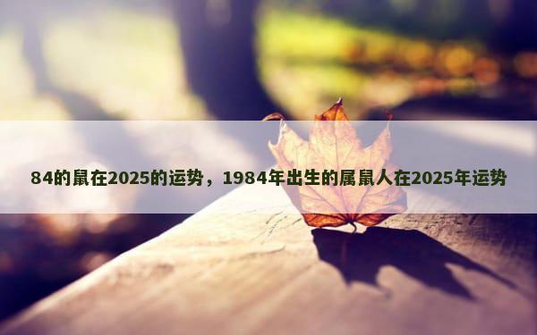 84的鼠在2025的运势，1984年出生的属鼠人在2025年运势