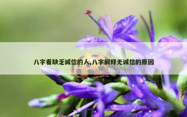 八字看缺乏诚信的人,八字解释无诚信的原因