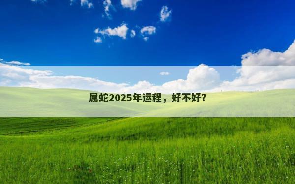 属蛇2025年运程，好不好？