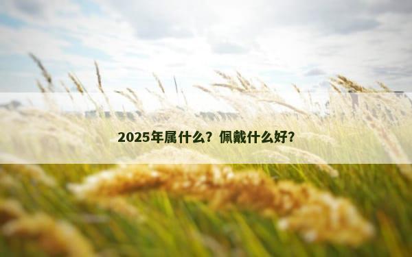 2025年属什么？佩戴什么好？