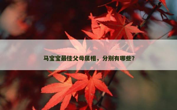 马宝宝最佳父母属相，分别有哪些？