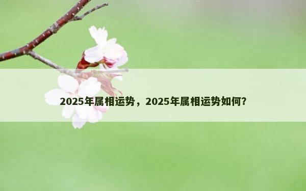 2025年属相运势，2025年属相运势如何？