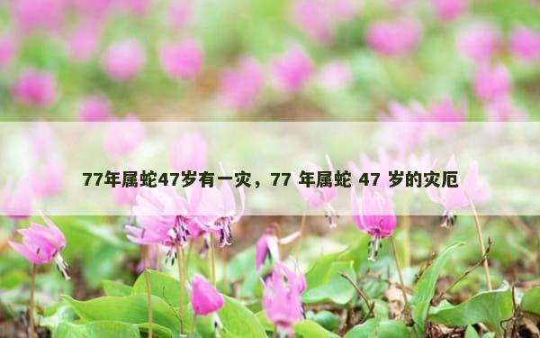 77年属蛇47岁有一灾，77 年属蛇 47 岁的灾厄