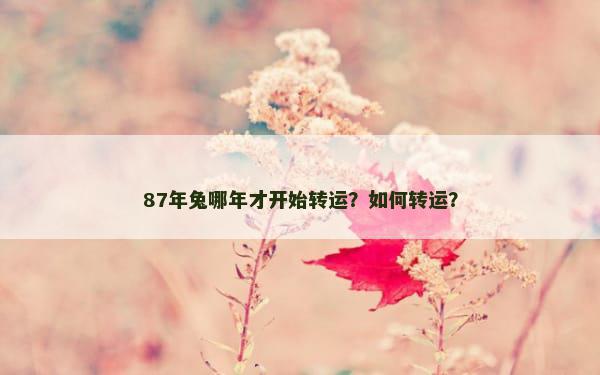 87年兔哪年才开始转运？如何转运？