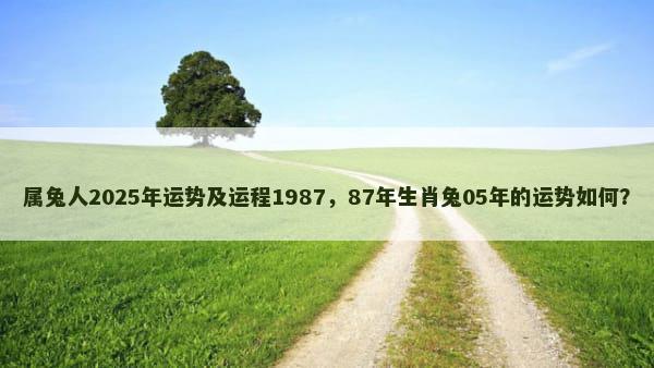 属兔人2025年运势及运程1987，87年生肖兔05年的运势如何？