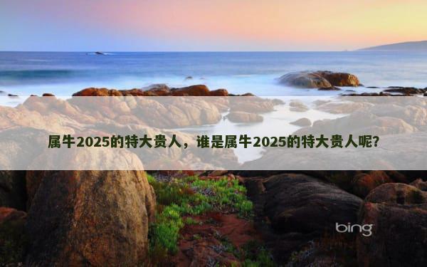 属牛2025的特大贵人，谁是属牛2025的特大贵人呢？