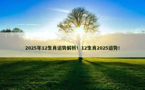 2025年12生肖运势解析！12生肖2025运势！