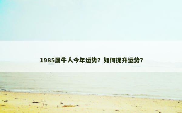 1985属牛人今年运势？如何提升运势？