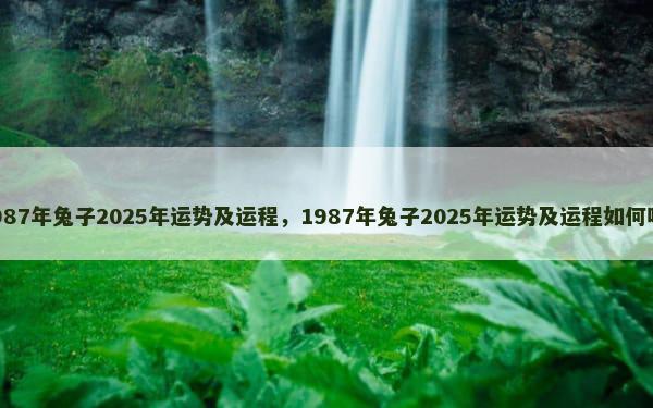 1987年兔子2025年运势及运程，1987年兔子2025年运势及运程如何呢？