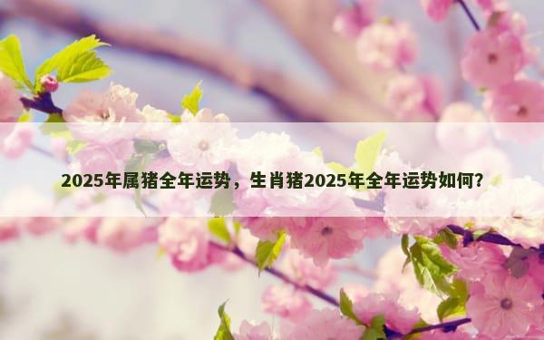 2025年属猪全年运势，生肖猪2025年全年运势如何？