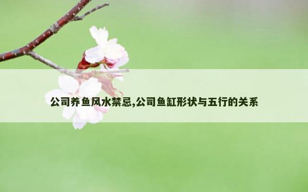 公司养鱼风水禁忌,公司鱼缸形状与五行的关系