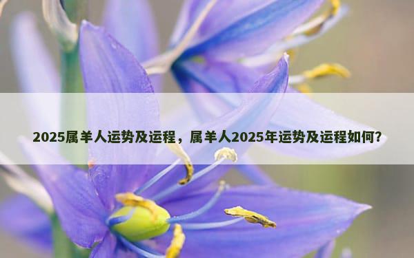 2025属羊人运势及运程，属羊人2025年运势及运程如何？