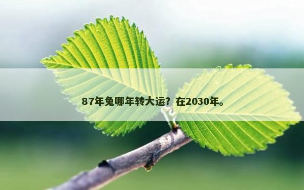 87年兔哪年转大运？在2030年。