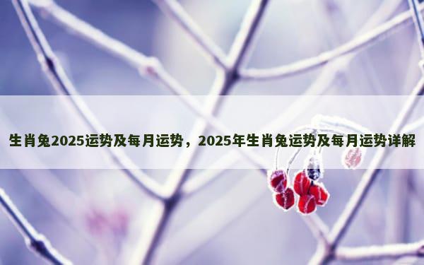 生肖兔2025运势及每月运势，2025年生肖兔运势及每月运势详解