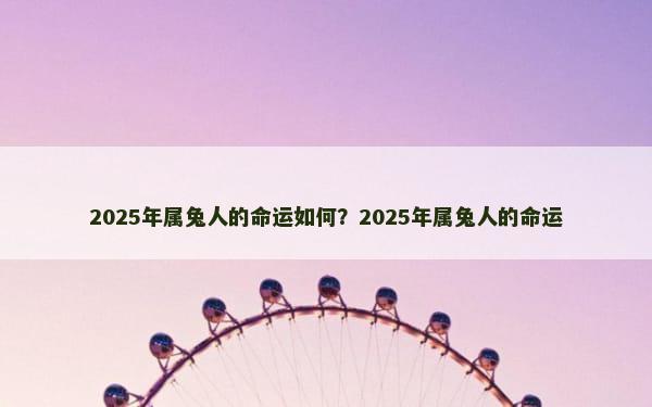 2025年属兔人的命运如何？2025年属兔人的命运