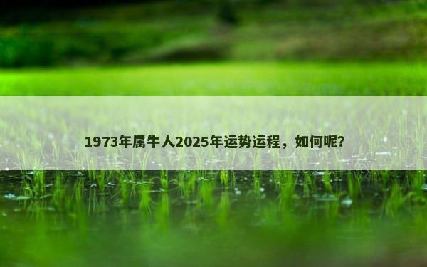 1973年属牛人2025年运势运程，如何呢？