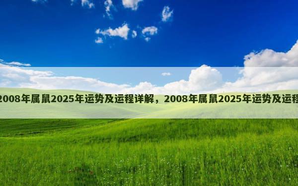 2008年属鼠2025年运势及运程详解，2008年属鼠2025年运势及运程