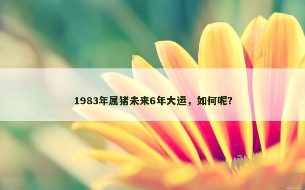 1983年属猪未来6年大运，如何呢？