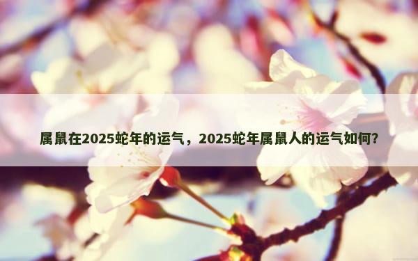 属鼠在2025蛇年的运气，2025蛇年属鼠人的运气如何？