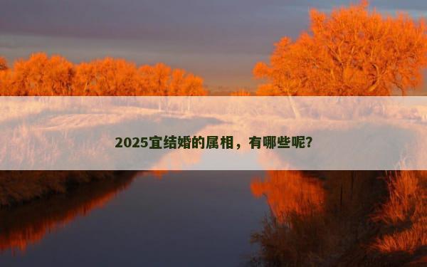 2025宜结婚的属相，有哪些呢？