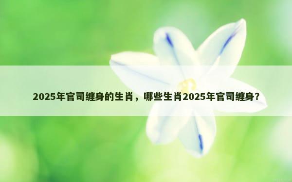 2025年官司缠身的生肖，哪些生肖2025年官司缠身？