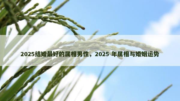 2025结婚最好的属相男性，2025 年属相与婚姻运势