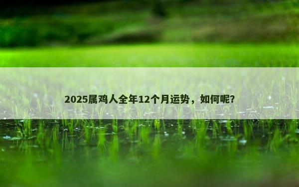 2025属鸡人全年12个月运势，如何呢？