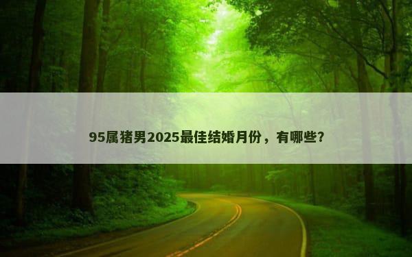 95属猪男2025最佳结婚月份，有哪些？