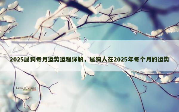 2025属狗每月运势运程详解，属狗人在2025年每个月的运势