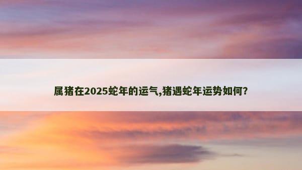 属猪在2025蛇年的运气,猪遇蛇年运势如何？