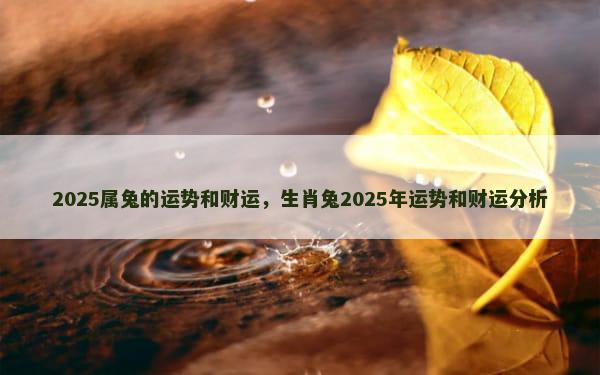 2025属兔的运势和财运，生肖兔2025年运势和财运分析