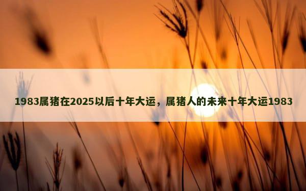 1983属猪在2025以后十年大运，属猪人的未来十年大运1983