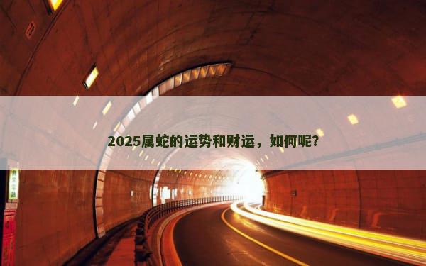 2025属蛇的运势和财运，如何呢？