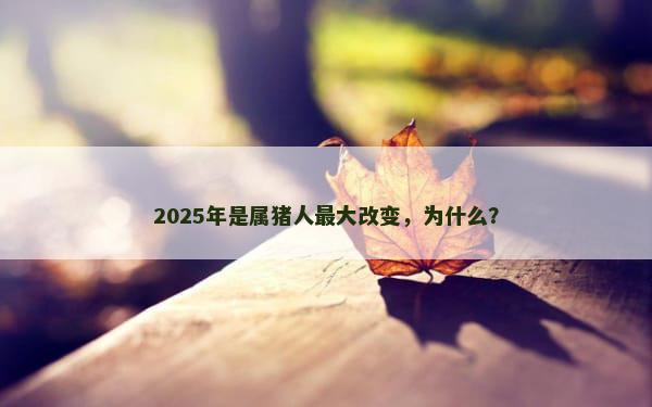 2025年是属猪人最大改变，为什么？